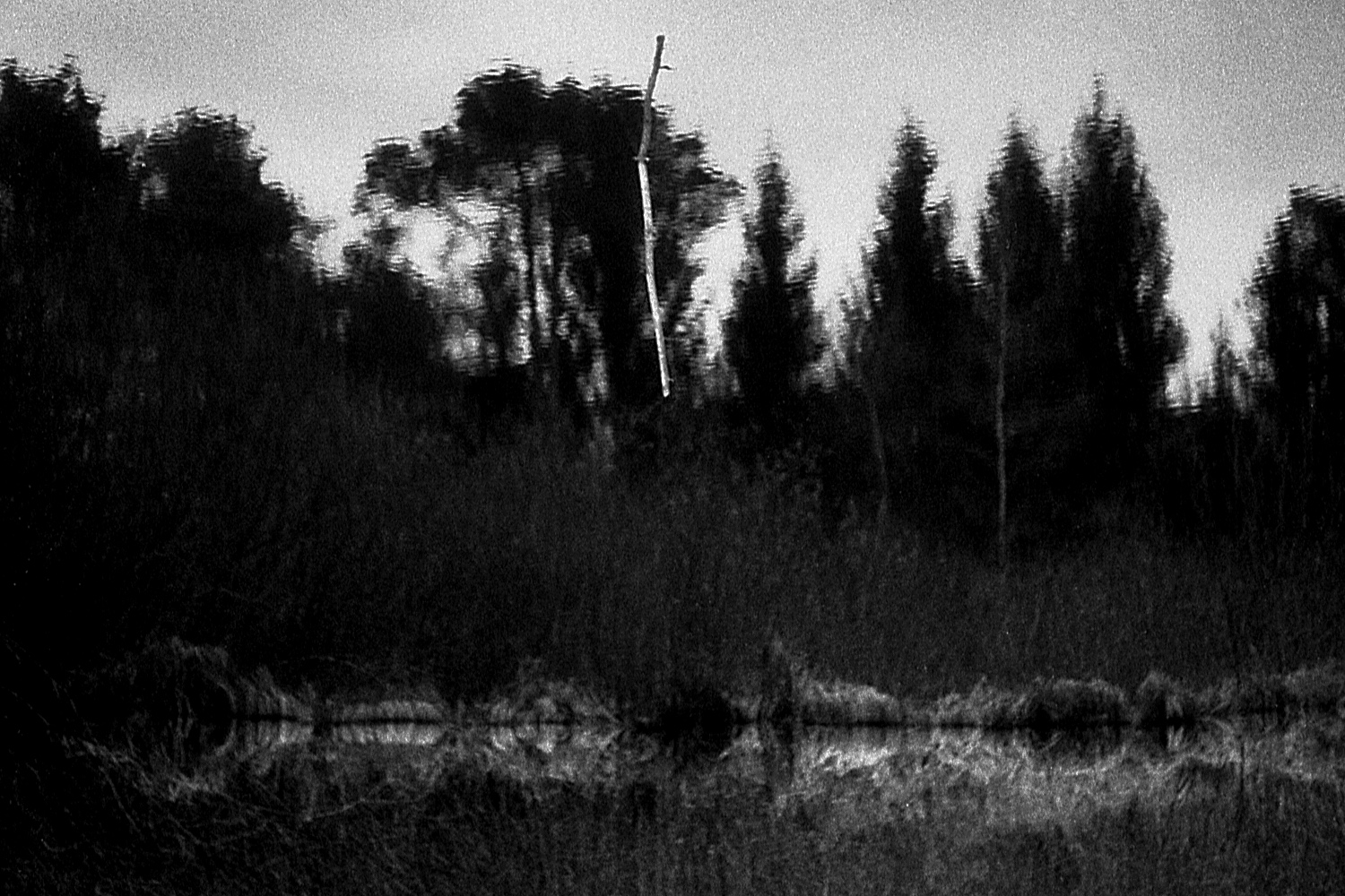Pia Arhija Mother Nature5